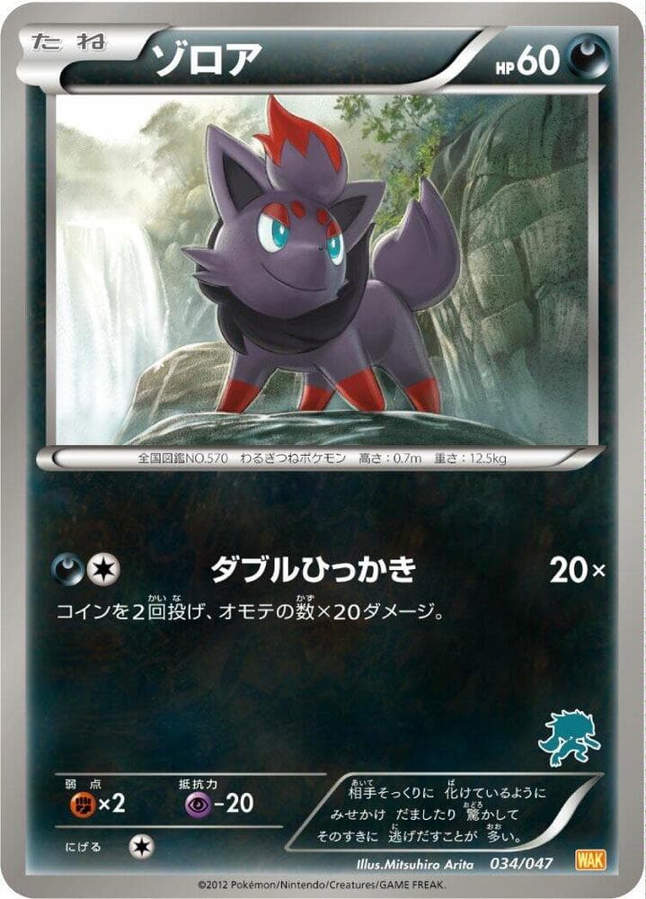 Zorua 034