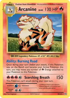 Arcanine 18 Normal
