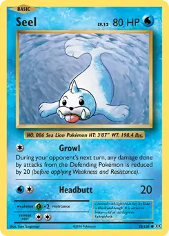 Seel 28 Normal