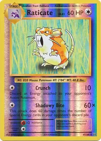Raticate Reverse Holo 67 Normal