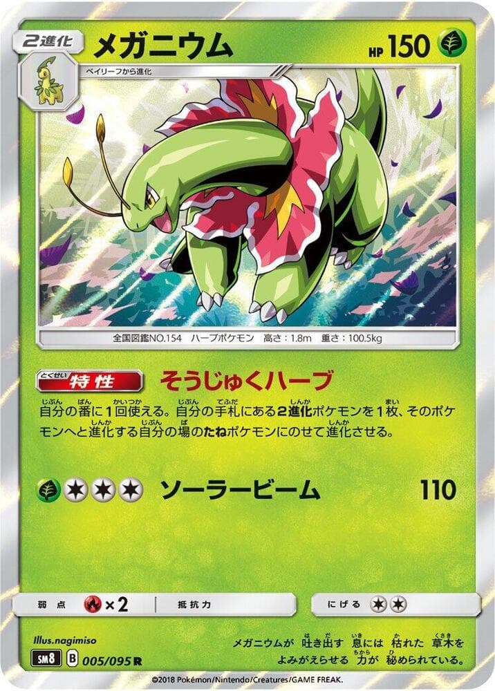 Meganium 005