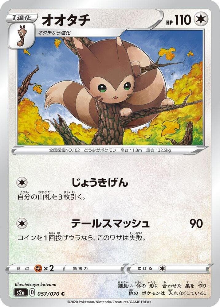 Furret 057