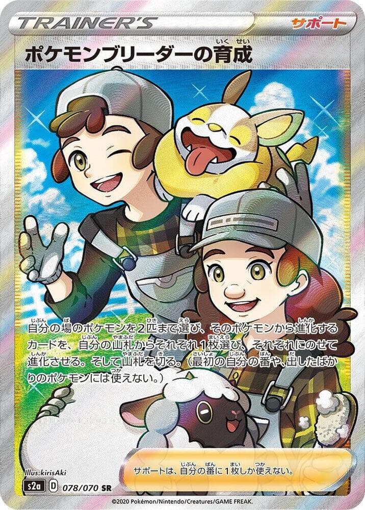 Pokemon Breeder's Training 078
