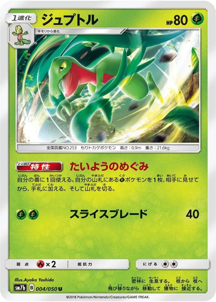 Grovyle 004 Normal