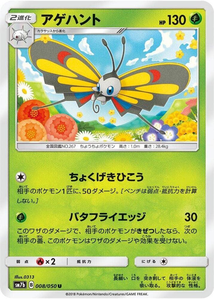 Beautifly 008