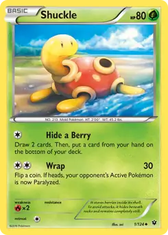 Shuckle 1 Normal