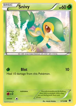 Snivy 5 Normal