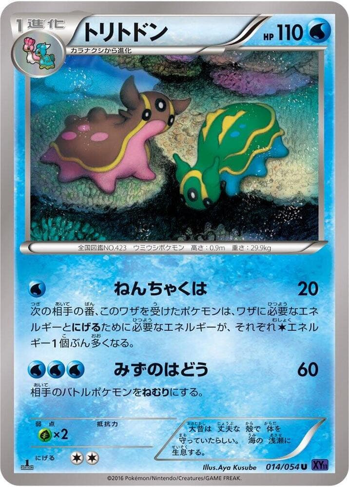 Gastrodon 14