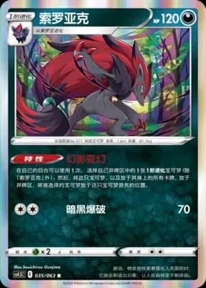 Zoroark 035