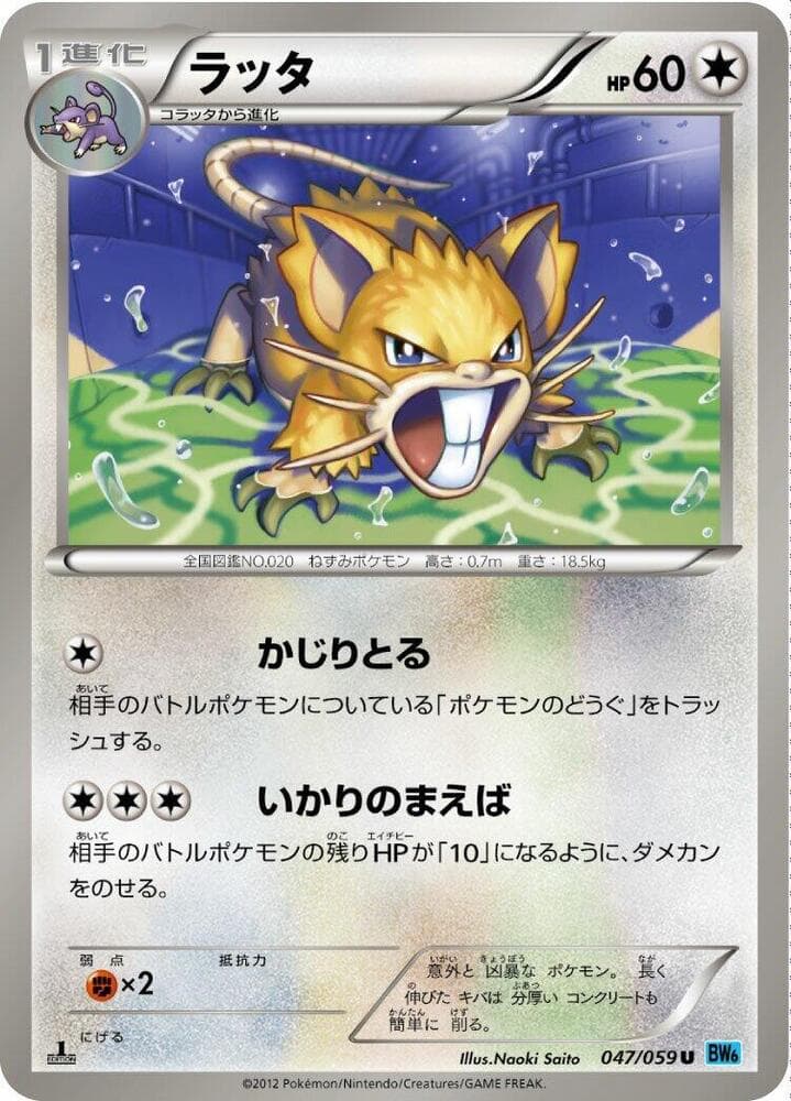 Raticate 047