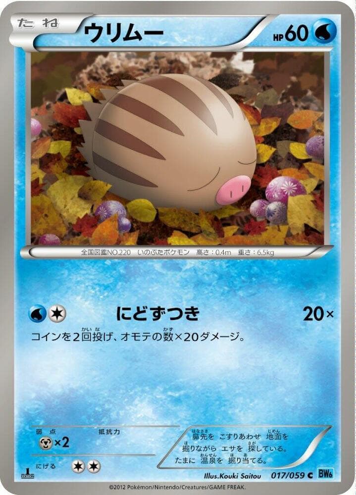 Swinub 17