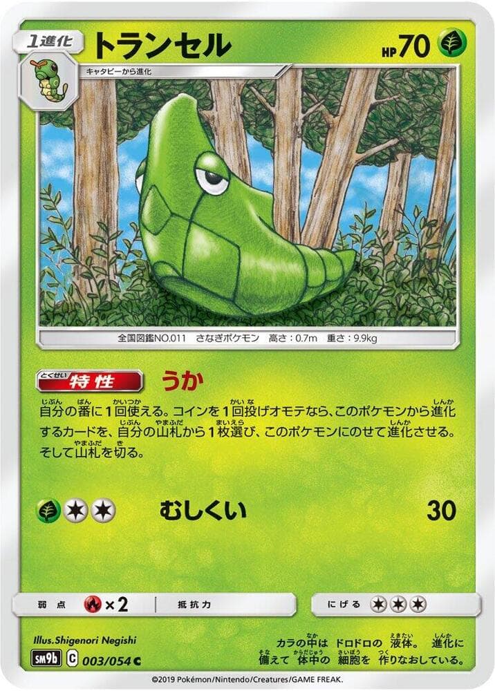 Metapod 003