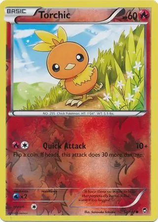 Torchic Reverse Holo 12 Normal
