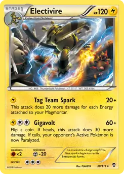 Electivire 30