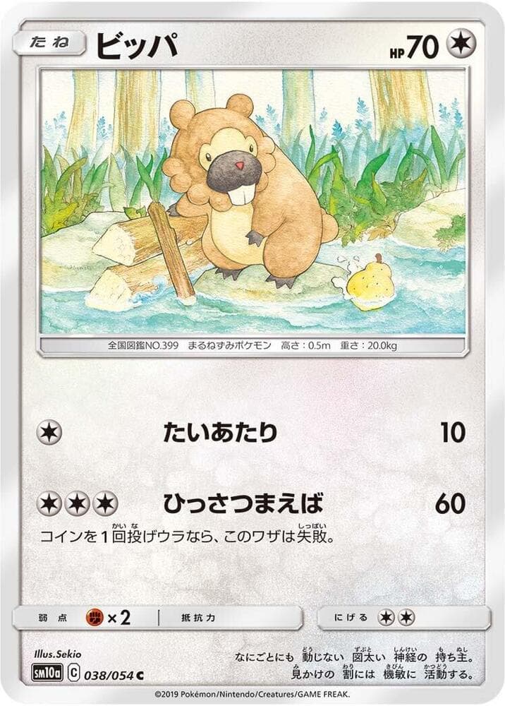 Bidoof 038