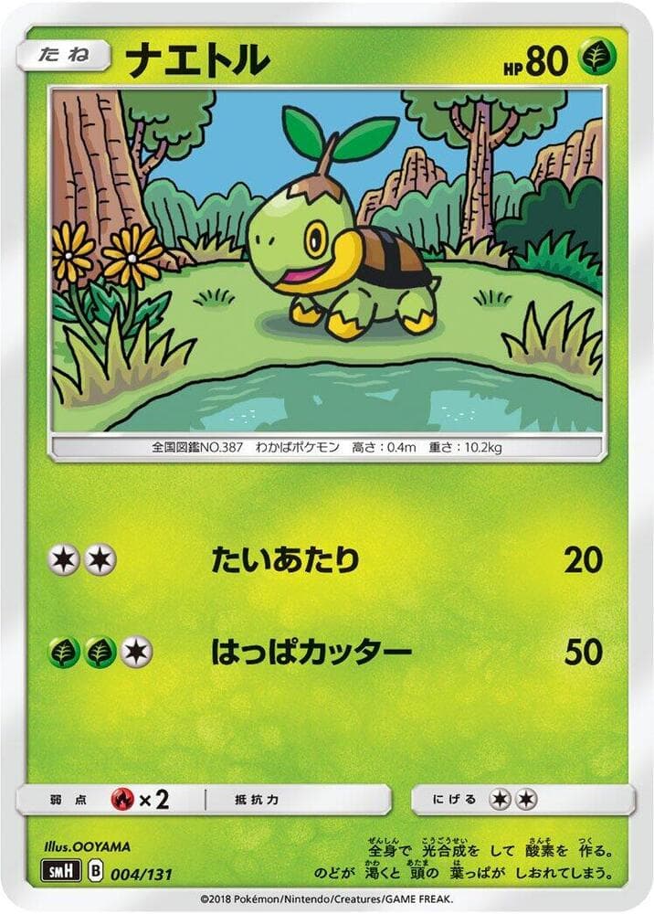 Turtwig 004