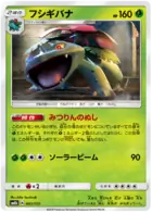 Venusaur 003