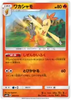 Combusken 013 Normal
