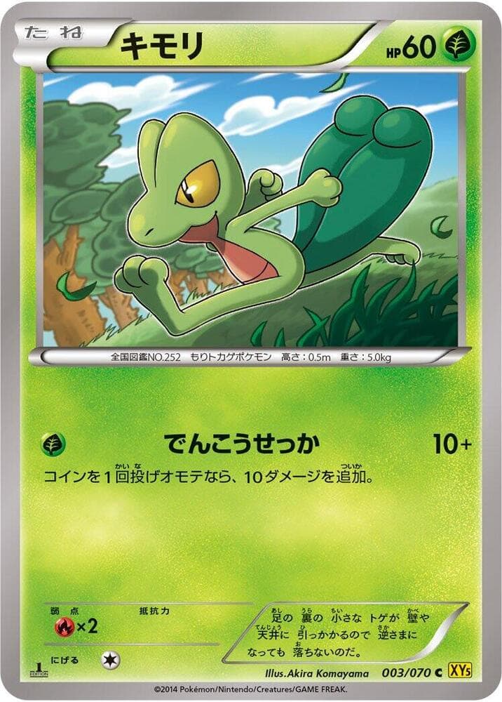 Treecko 003