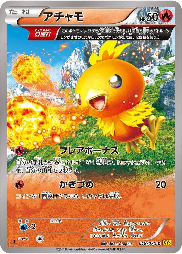 Torchic 018