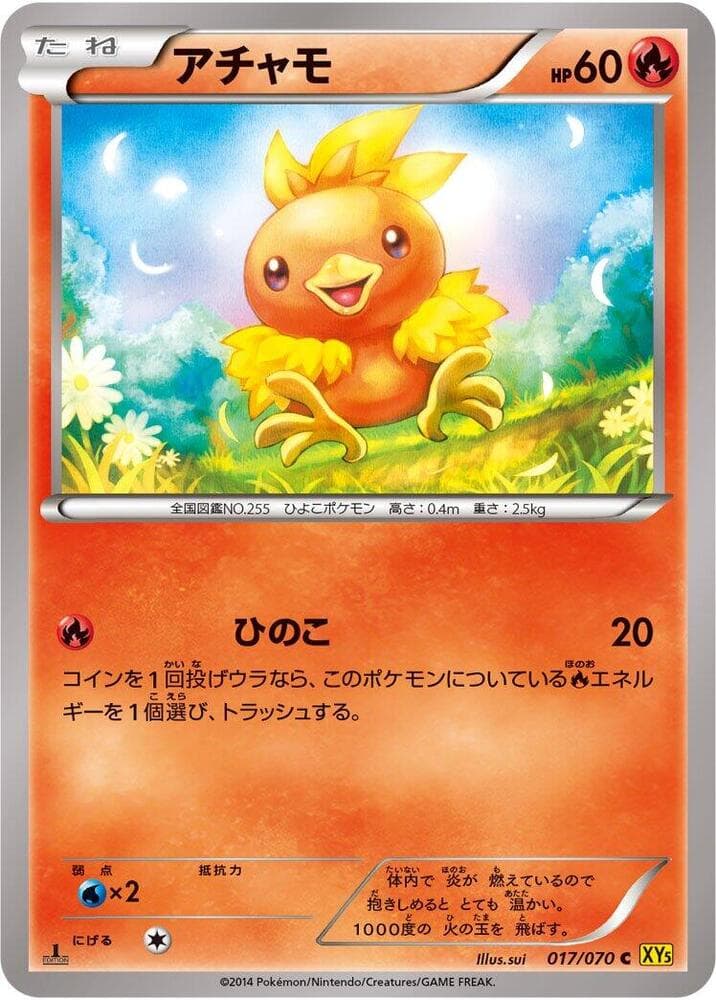 Torchic 17