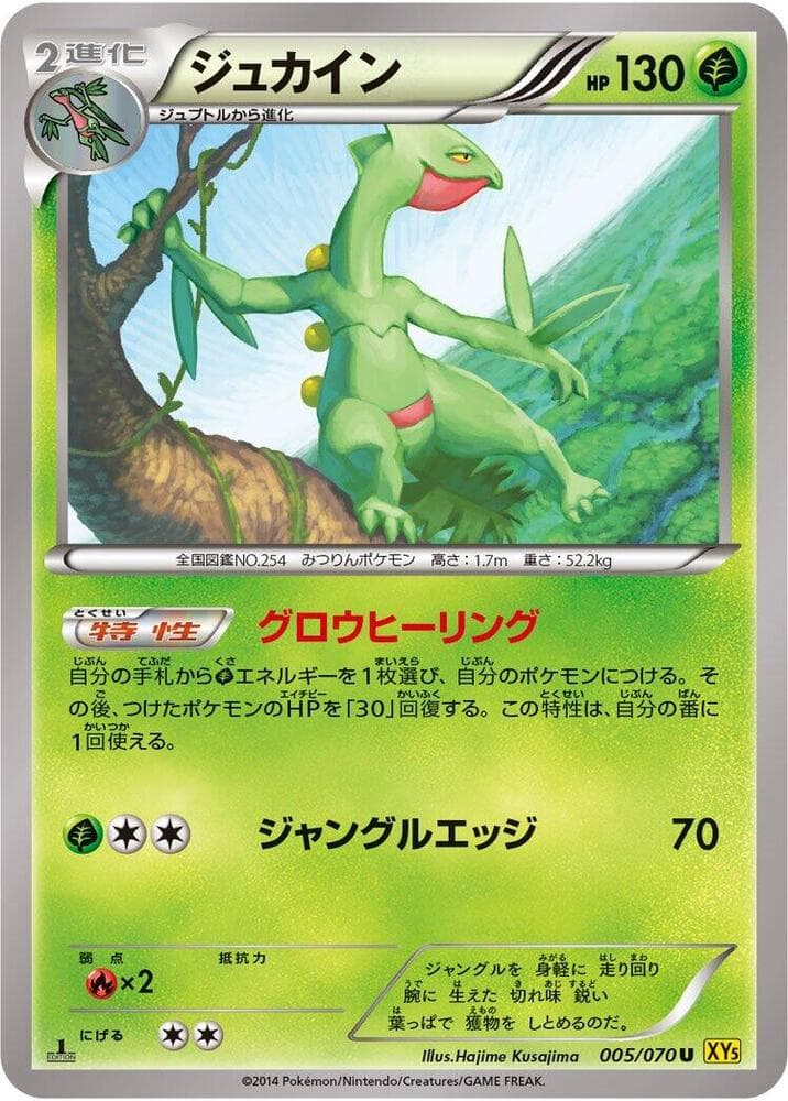 Sceptile 5 Unlimited