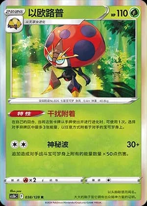 Orbeetle 038 Normal