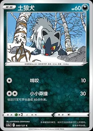 Poochyena Reverse Holo 080