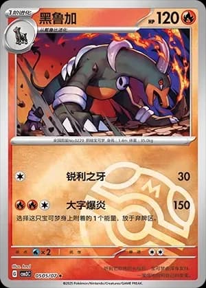 Houndoom 0505