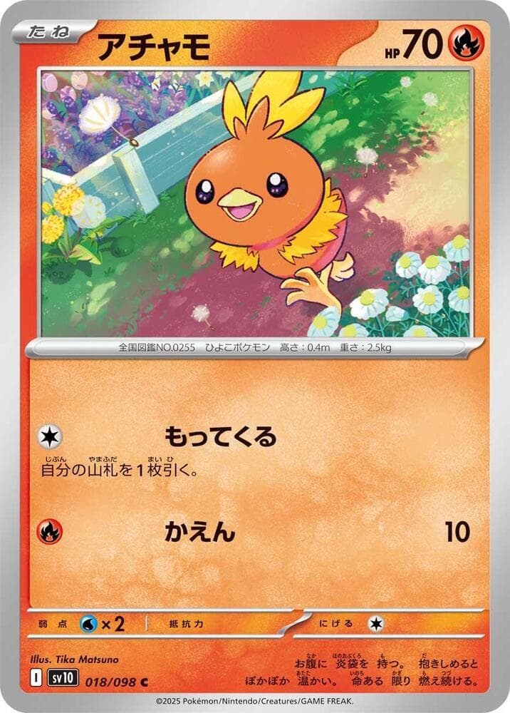 Torchic 018