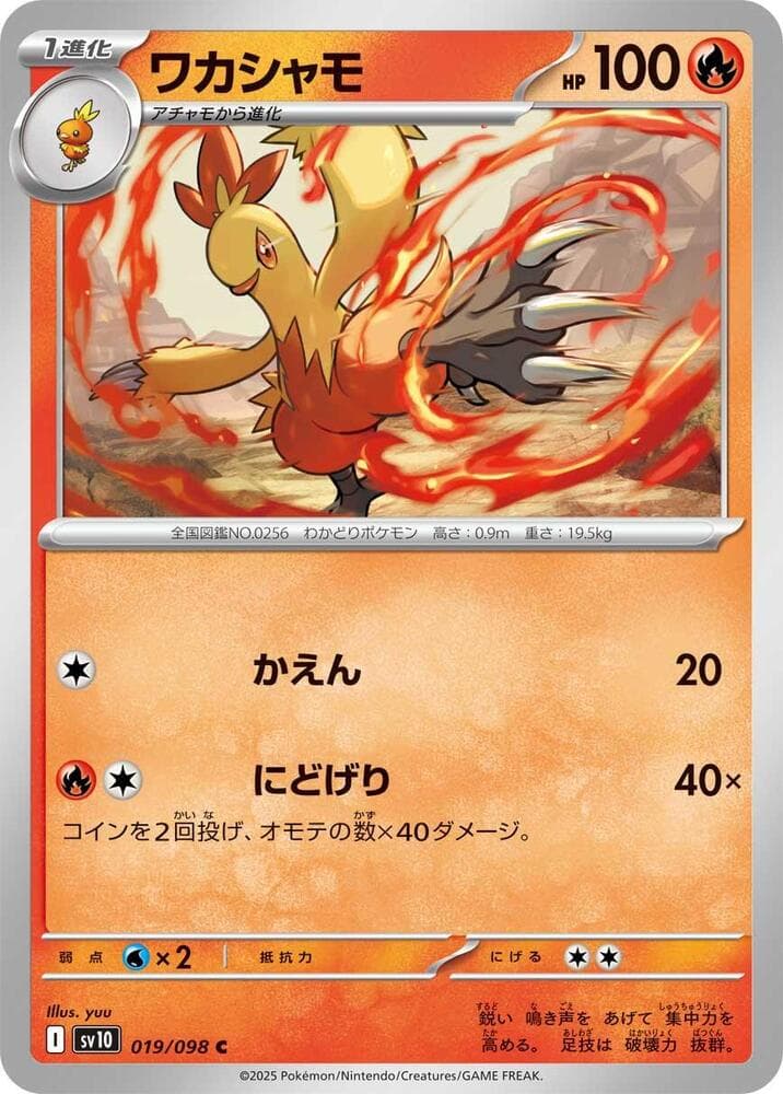 Combusken 019 Normal