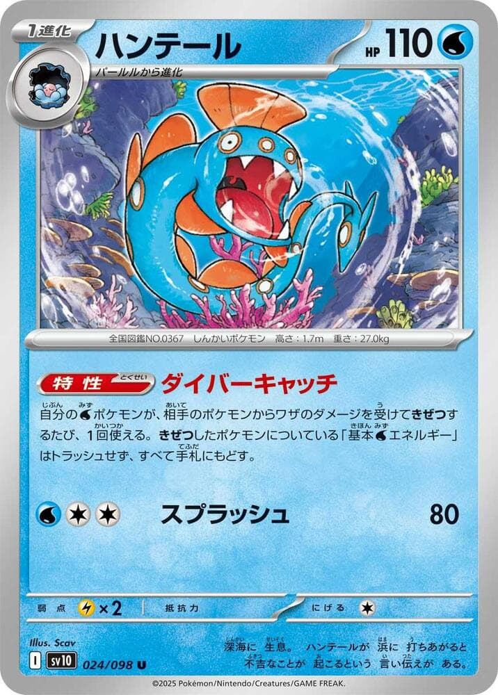 Huntail 024