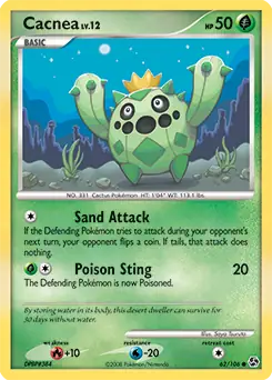 Cacnea 62
