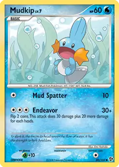 Mudkip 80 Normal