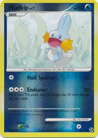 Mudkip Reverse Holo 80 Normal