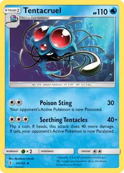 Tentacruel 24 Normal