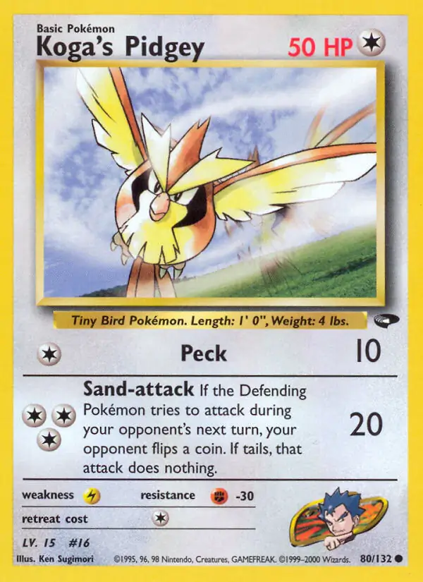 Koga's Pidgey 80