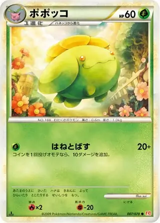 Skiploom 007