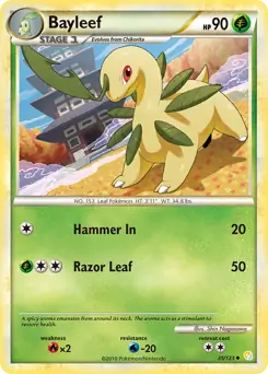 Bayleef 35