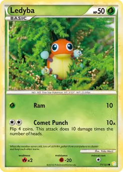Ledyba 71