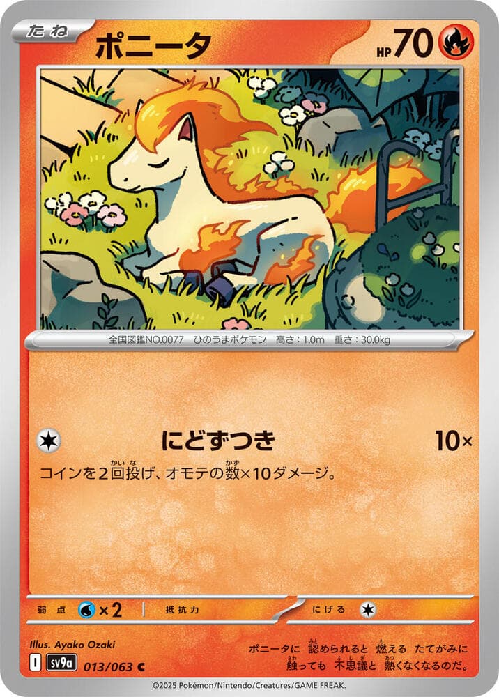 Ponyta 013