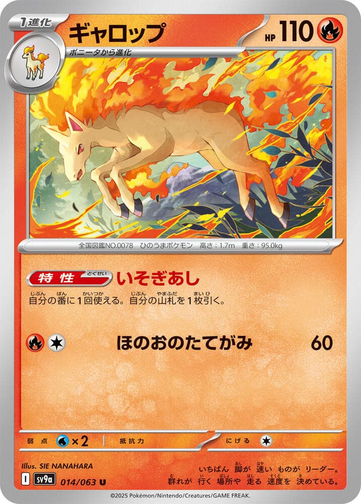 Rapidash 014
