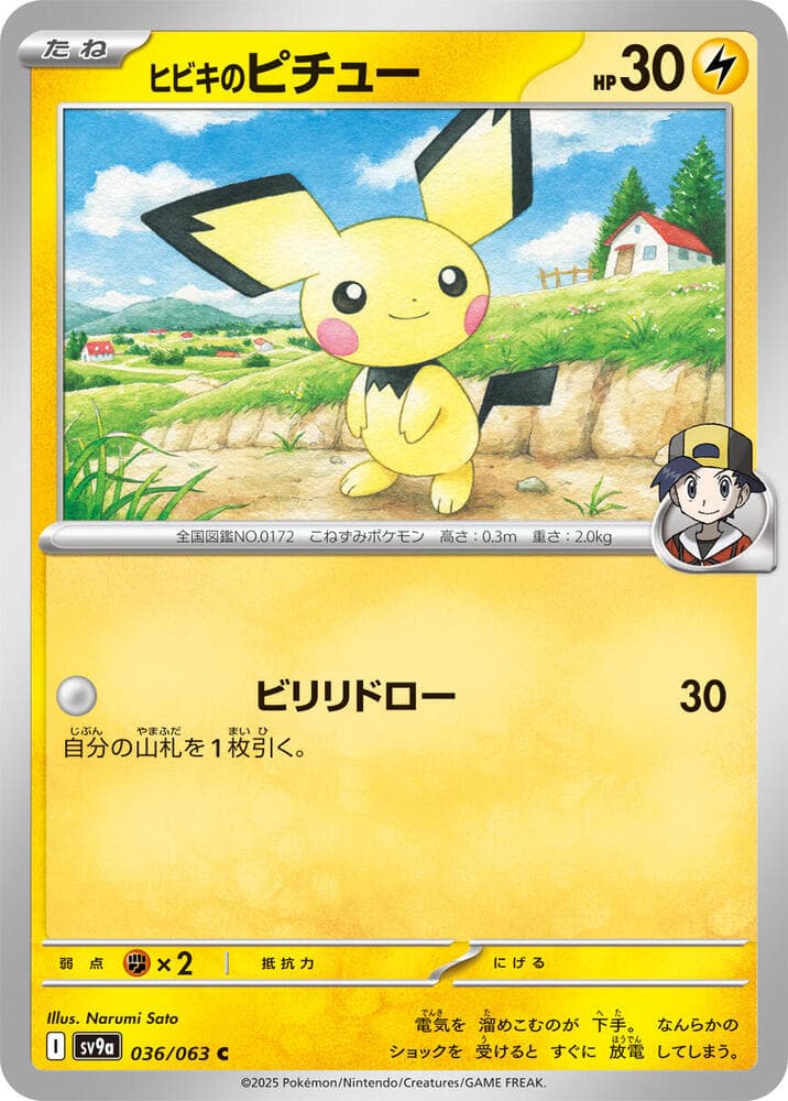 Ethan's Pichu 036