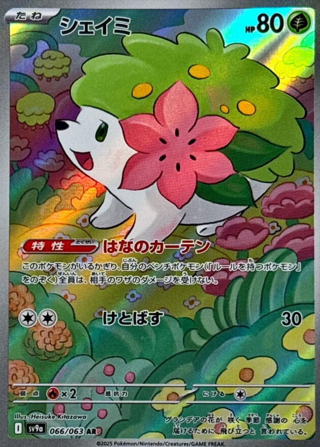 Shaymin 066