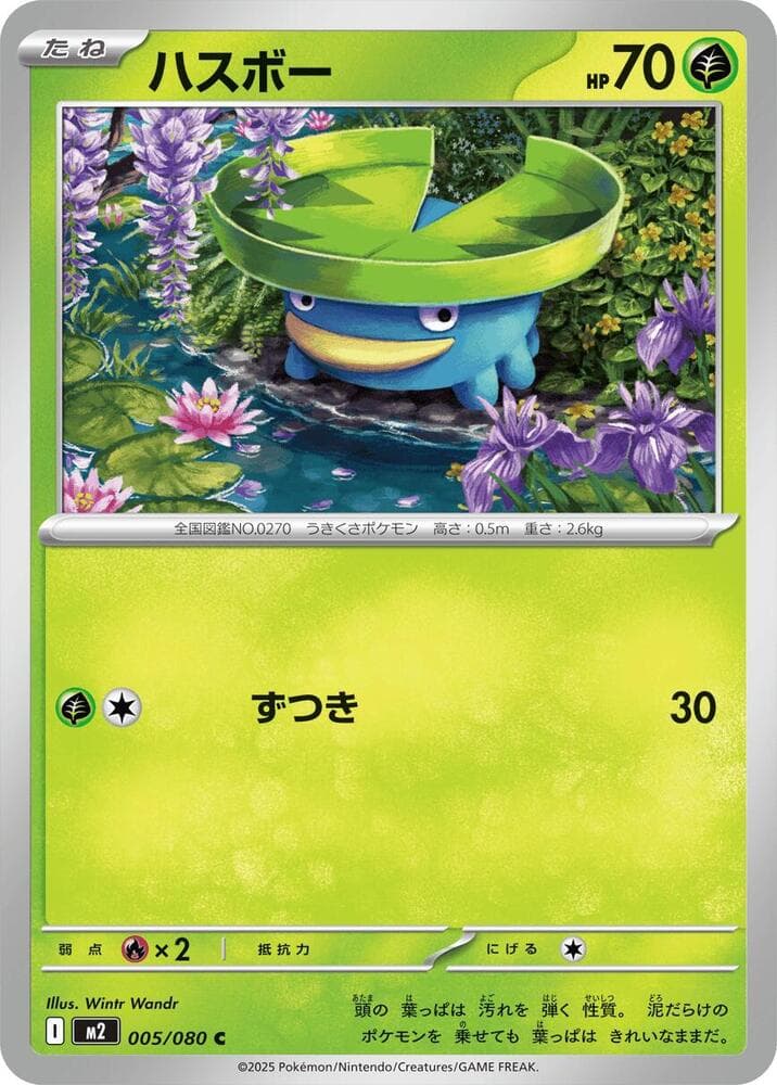 Lotad 005 Normal