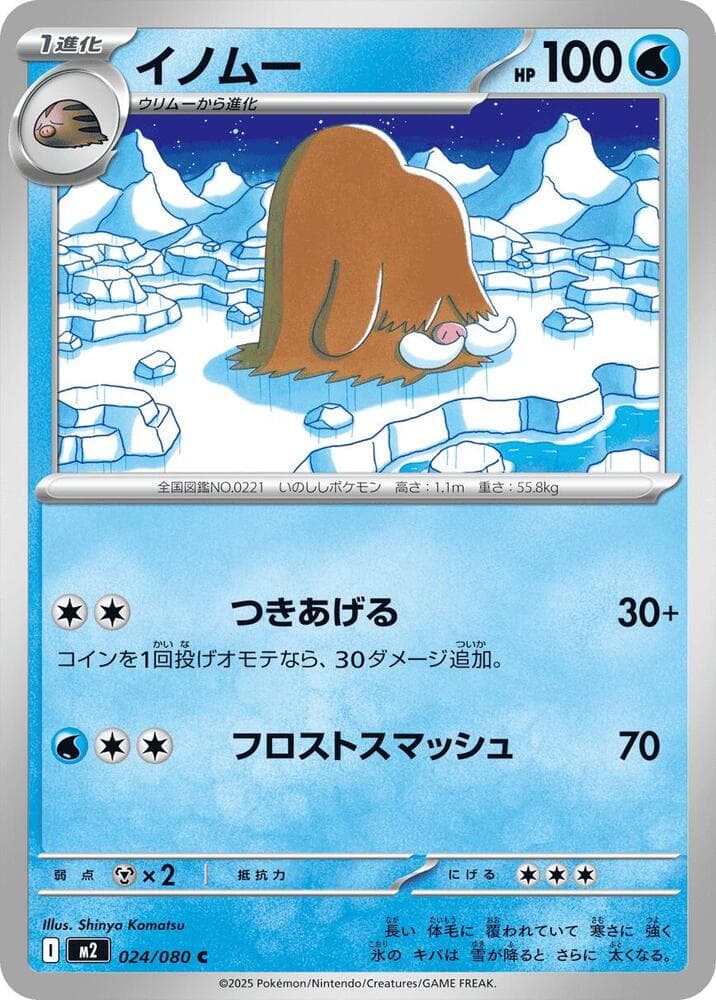 Piloswine 024