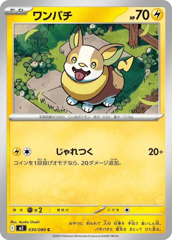Yamper 030