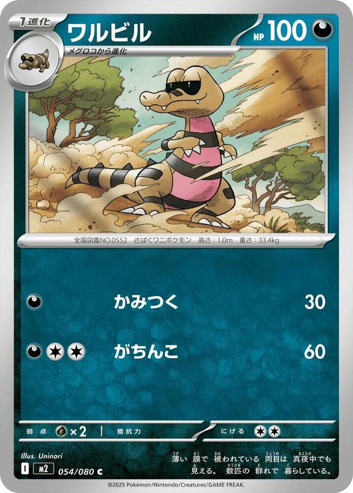 Krokorok 054