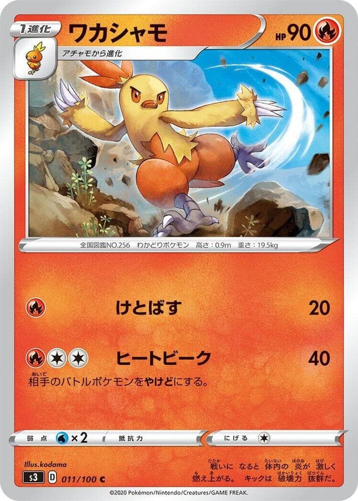 Combusken 011