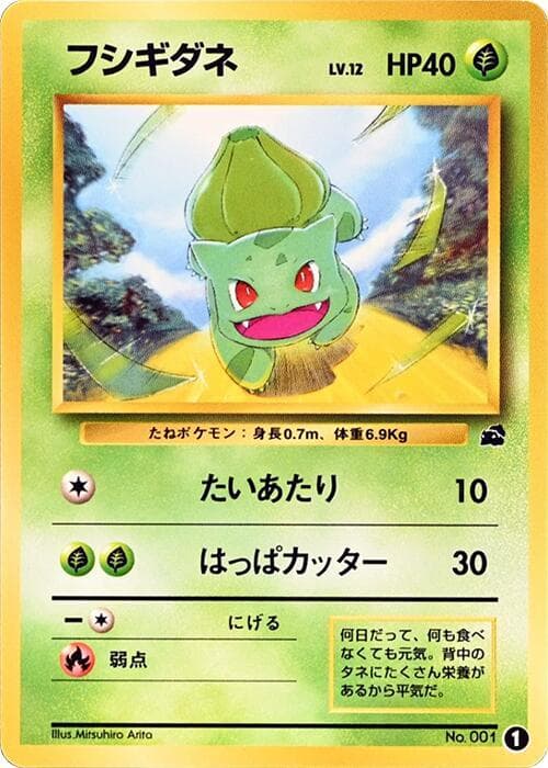 Bulbasaur 1